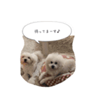 雫と雪の日常（個別スタンプ：24）