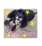 Real Dogs Family.（個別スタンプ：2）