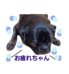 Real Dogs Family.（個別スタンプ：3）