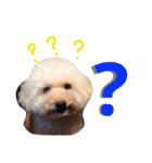 Real Dogs Family.（個別スタンプ：9）