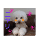 Real Dogs Family.（個別スタンプ：10）