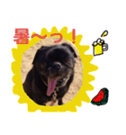 Real Dogs Family.（個別スタンプ：13）