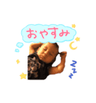 癒しのあすくん（個別スタンプ：6）