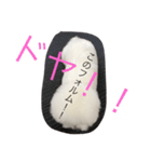 ビションフリーゼのトッティ2（個別スタンプ：6）