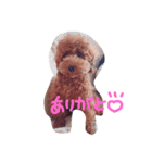 レオですよ（個別スタンプ：3）
