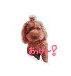 レオですよ（個別スタンプ：5）