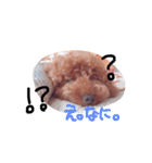 レオですよ（個別スタンプ：9）