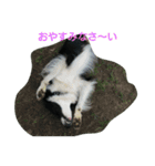 albatoasobo（個別スタンプ：3）