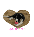 albatoasobo（個別スタンプ：9）