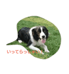 albatoasobo（個別スタンプ：14）