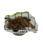 颯太だよ☆（個別スタンプ：2）
