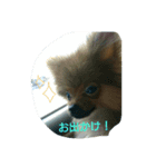 颯太だよ☆（個別スタンプ：3）