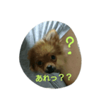 颯太だよ☆（個別スタンプ：6）