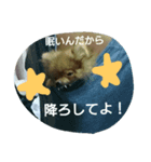 颯太だよ☆（個別スタンプ：7）