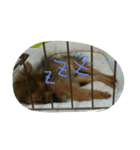 颯太だよ☆（個別スタンプ：8）