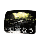 お気に入りの写真をスタンプにしました（個別スタンプ：5）
