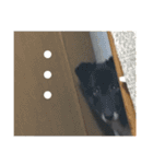 お気に入りの写真をスタンプにしました（個別スタンプ：23）