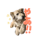 クッキーとミルク（個別スタンプ：5）