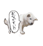 クッキーとミルク（個別スタンプ：12）