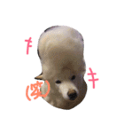 クッキーとミルク（個別スタンプ：14）