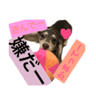、、ここ 、、（個別スタンプ：6）