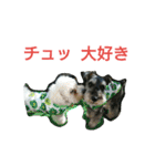 ミニシュナ コジロウの一日（個別スタンプ：9）