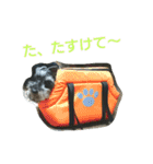 ミニシュナ コジロウの一日（個別スタンプ：18）