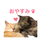 がぶ＆テト 2（個別スタンプ：1）