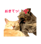 がぶ＆テト 2（個別スタンプ：20）