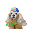 過保護のきらつくちゃん（個別スタンプ：8）