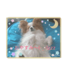 パピヨン姫＆苺の日常（個別スタンプ：8）