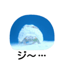 ダイバーの為のお魚スタンプ（個別スタンプ：3）