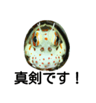 ダイバーの為のお魚スタンプ（個別スタンプ：6）