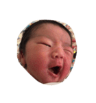 せいたろー（個別スタンプ：7）