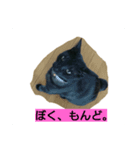 もんどくん（個別スタンプ：1）