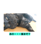 もんどくん（個別スタンプ：6）