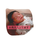 さくちゃんスタンプ2（個別スタンプ：17）