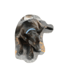 black is dog（個別スタンプ：3）