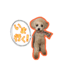 もこがいっぱい（個別スタンプ：2）