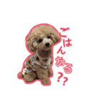 もこがいっぱい（個別スタンプ：3）