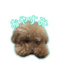 もこがいっぱい（個別スタンプ：4）