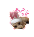 もこがいっぱい（個別スタンプ：5）