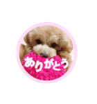 もこがいっぱい（個別スタンプ：6）