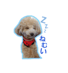 もこがいっぱい（個別スタンプ：9）