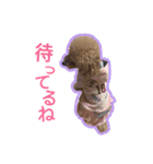 もこがいっぱい（個別スタンプ：10）