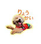 もこがいっぱい（個別スタンプ：11）