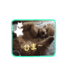 もこがいっぱい（個別スタンプ：12）