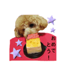 もこがいっぱい（個別スタンプ：13）