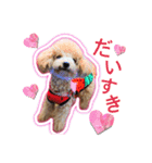 もこがいっぱい（個別スタンプ：14）