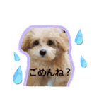 もこがいっぱい（個別スタンプ：15）